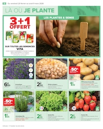 Offre Potager dans le catalogue Carrefour du moment à la page 12