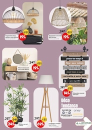 Offre Bambou En Pot dans le catalogue Maxi Bazar du moment à la page 4