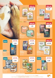 ZooRoyal Ente im Prospekt 