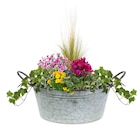 Jardiland Grâce-Uzel - Promo Composition d'automne Promo Composition d'automne à 24,99 € dans le catalogue Jardiland à Grâce-Uzel
