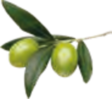 Aktuelles Duschgel Angebot bei EDEKA in Stade (Hansestadt) ab 0,99 €