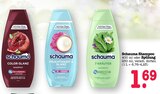 Color Glanz Shampoo im Angebot bei E center in Karlsruhe Color Glanz Shampoo Angebote von Schauma bei E center Karlsruhe für 1,69 €