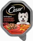 Hundenahrung von Cesar im aktuellen Kaufland Prospekt