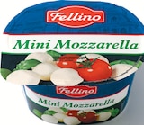 Mini Mozzarella bei Netto mit dem Scottie im Sassnitz Prospekt für 1,29 €