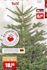 Nordmanntannen bei Thomas Philipps im Zell Prospekt für 6,98 €