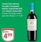 Famiglia Castagnedi Manfro Valpolicella DOC bei GLOBUS im Bobenheim-Roxheim Prospekt für 4,99 €