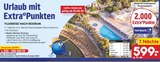 FLUGREISE NACH BODRUM Angebote von Netto bei Netto Marken-Discount Bochum für 599,00 €