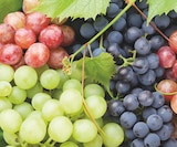 Ma Jardinerie Illzach - Promo Vigne résistante aux maladies Promo Vigne résistante aux maladies à 14,99 € dans le catalogue Ma Jardinerie à Illzach