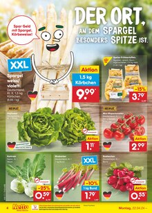 Tomaten im Netto Marken-Discount Prospekt "Aktuelle Angebote" mit 51 Seiten (Dresden)