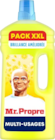 Mr. Propre multi-usages en promo à 3,60 € chez Lidl Mr. Propre multi-usages dans le catalogue Lidl