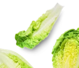 Kaufland Kirchentellinsfurt - Mini-Romanasalat Angebot im Prospekt Mini-Romanasalat bei Kaufland im Kirchentellinsfurt Prospekt für 0,69 €