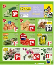 Tomaten im EDEKA Prospekt in Ingolstadt Aktueller EDEKA Prospekt mit Tomaten, "Wir lieben Lebensmittel.", Seite 5