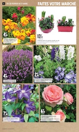 Offre Plante Vivace dans le catalogue Intermarché du moment à la page 4