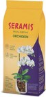 Aktuelle Pflanzen Angebote bei Netto Marken-Discount in Hannover Aktuelles Zimmerpflanzen Angebot bei Netto Marken-Discount in Hannover ab 3,99 €