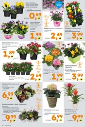 Aktueller Globus-Baumarkt Prospekt mit Blumen, "Immer eine Idee besser", Seite 2