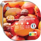 Sorbet La mangue passion - Picard - Picard Sorbet La mangue passion - Picard à 4,99 € dans le catalogue Picard