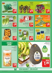 Kartoffeln im Marktkauf Prospekt in Bautzen Aktueller Marktkauf Prospekt mit Kartoffeln, "AUSWAHL RIESIG, PREISE NIEDRIG", Seite 7