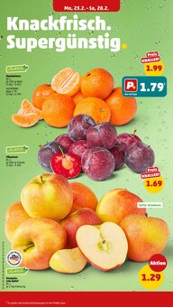 Äpfel im Penny Prospekt "Wer günstig will, muss Penny." mit 46 Seiten (Halle (Saale))