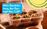 Mini-Gewächshaus Angebote bei ALDI SÜD Regensburg für 2,49 €