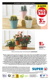 Offre Cactus dans le catalogue Super U du moment à la page 12