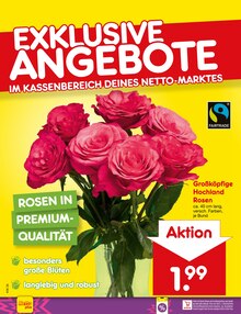Pflanzen im aktuellen Netto Marken-Discount Prospekt (Rostock) Pflanzen im Netto Marken-Discount Prospekt "Aktuelle Angebote" mit 70 Seiten (Rostock)