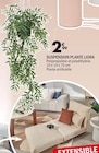 Suspension Plante Liora en promo chez La Foir’Fouille Suspension Plante Liora dans le catalogue La Foir’Fouille