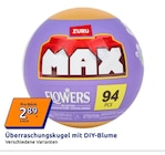 Überraschungskugel mit DIY-Blume im Angebot bei Action in Borken Überraschungskugel mit DIY-Blume Angebote von ZURU bei Action Borken für 2,89 €