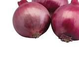 Zwiebeln rot im METRO Prospekt Zwiebeln rot von Metro Chef im aktuellen METRO Prospekt für 1,92 €