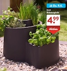 Steine im ALDI SÜD Prospekt Kräuterspirale von Belavi im aktuellen ALDI SÜD Prospekt für 4,99 €