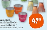 Windlicht aus Metall oder Solar Laterne im Angebot bei tegut in Fellbach Windlicht aus Metall oder Solar Laterne Angebote bei tegut Fellbach für 4,99 €