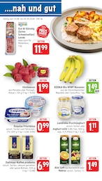 EDEKA Prospekt "Aktuelle Angebote", 10 Seiten, 31.08.2026 - 31.08.2026 Aktueller EDEKA Prospekt, "Aktuelle Angebote", mit Angeboten der Woche, gültig von 31.08.2026 bis 31.08.2026
