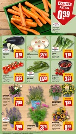 Blumen im REWE Prospekt in Bornheim Aktueller REWE Prospekt mit Blumen, "Dein Markt", Seite 7
