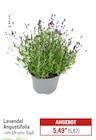 Lavendel im Metro Prospekt Lavendel von im aktuellen Metro Prospekt fĂŒr 5,87 âŹ