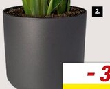 Aktuelle Blumentopf Angebote bei toom Baumarkt in Karlsruhe Aktuelles Übertopf „b.for soft“ Angebot bei toom Baumarkt in Karlsruhe ab 16,99 €