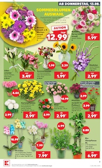 Pflanzen im aktuellen Kaufland Prospekt (Hannover) Pflanzen im Kaufland Prospekt "Hier bin ich richtig" mit 54 Seiten (Hannover)
