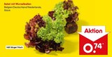 Salat mit Wurzelballen für 0,74 € bei Netto Marken-Discount im Angebot Salat mit Wurzelballen im aktuellen Netto Marken-Discount Prospekt