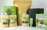 Easy-Grow-Kit im aktuellen Hellweg Prospekt