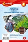 Artemia bei Zookauf im Schloß Holte-Stukenbrock Prospekt für 2,19 €
