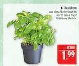 Angebot im Marktkauf Naundorf Prospekt Marktkauf Naundorf Prospekt mit im Angebot für 1,99 €