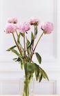 Bi1 Bouclans - Promo Bouquet de 5 Pivoines Promo Bouquet de 5 Pivoines à 5,99 € dans le catalogue Bi1 à Bouclans