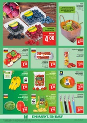 Tomaten im Marktkauf Prospekt in Görlitz Aktueller Marktkauf Prospekt mit Tomaten, "AUSWAHL RIESIG, PREISE NIEDRIG", Seite 10