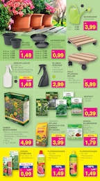 Kresse Angebot im aktuellen KODi Prospekt auf Seite 5