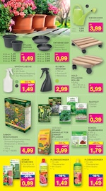 Aktueller KODi Prospekt mit Gartengeräte, "DER HAUSHALTSDISCOUNTER", Seite 5