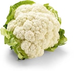 Blumenkohl im Angebot bei Netto Marken-Discount in Düren Blumenkohl Angebote von HEIMAT bei Netto Marken-Discount Düren für 1,39 €