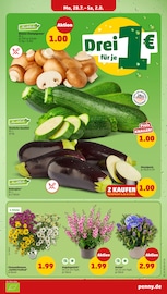 Zucchini im Penny Prospekt in Essen Aktueller Penny Prospekt mit Zucchini, "Wer günstig will, muss Penny.", Seite 3