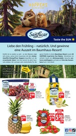 Deko im E center Prospekt in Ludwigshafen Aktueller E center Prospekt mit Deko, "Aktuelle Angebote", Seite 87