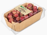Helle Bio Tafeltrauben im Angebot bei REWE in Leonberg Helle Bio Tafeltrauben Angebote von REWE Bio bei REWE Leonberg für 1,99 €