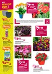 Fleurs Fleurs