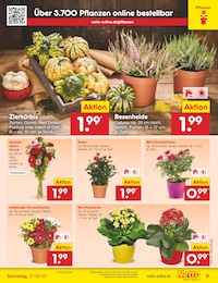 Blumen Angebot im aktuellen Netto Marken-Discount Prospekt auf Seite 9