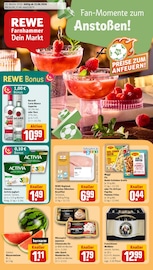 REWE Discounter Prospekt der aktuellen Woche mit 26 Seiten, gültig von 15.06.2026 bis 20.06.2026, in Fürstenstein und Umgebung Aktueller REWE Discounter Prospekt in Fürstenstein und Umgebung, "Dein Markt" mit 26 Seiten, 15.06.2026 - 20.06.2026